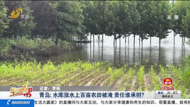 【重磅】青岛：水库涨水上百亩农田被淹 责任谁承担？