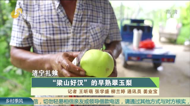 【濟寧禮饗】“梁山好漢”的早熟翠玉梨