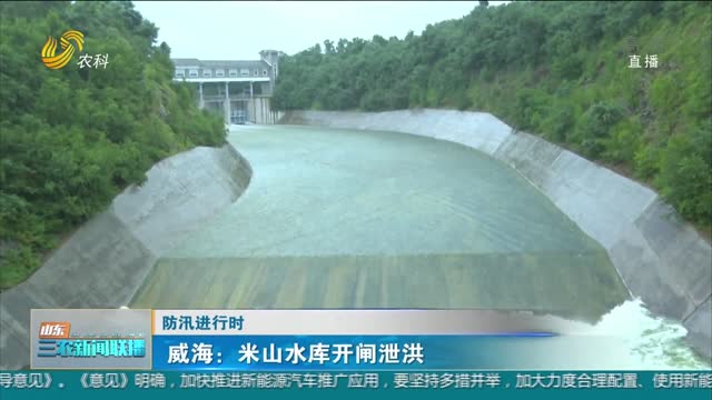 【防汛进行时】威海：米山水库开闸泄洪