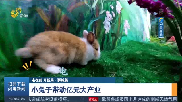 【走在前 开新局·聊城篇】小兔子带动亿元大产业