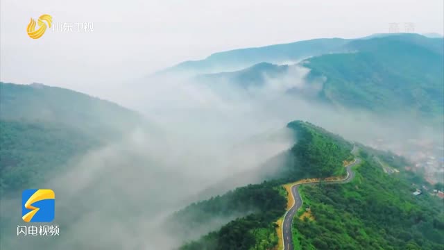 【诗画山东】济南南部山区雨后云雾缭绕如画境