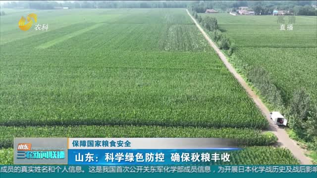 【保障国家粮食安全】山东：科学绿色防控 确保秋粮丰收
