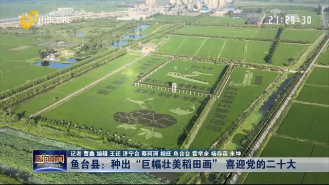鱼台县：种出“巨幅壮美稻田画” 喜迎党的二十大