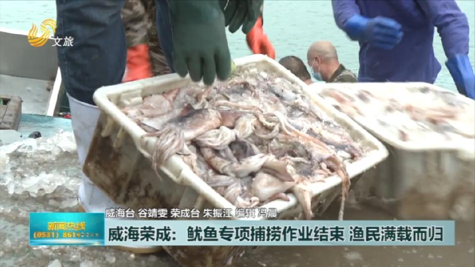 威海：鱿鱼专项捕捞作业结束  99艘渔船满载而归