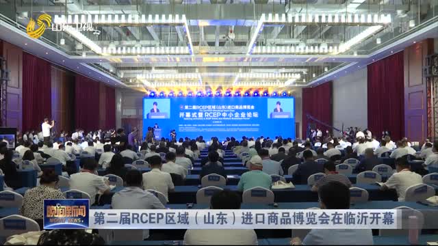 第二届RCEP区域（山东）进口商品博览会在临沂开幕