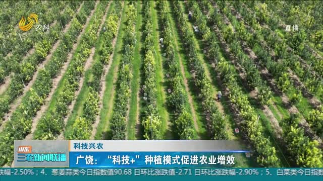 【科技兴农】广饶：“科技+”种植模式促进农业增效