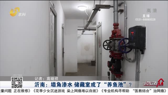 沂南：墙角渗水 储藏室成了“养鱼池”？
