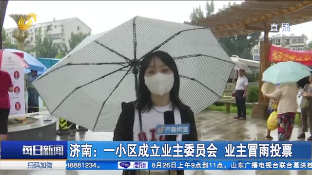 济南：一小区成立业主委员会 业主冒雨投票