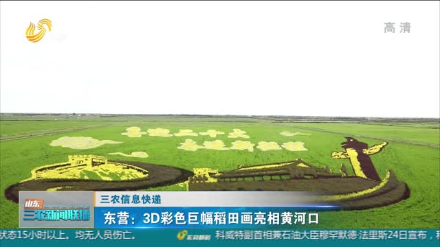 【三农信息快递】东营：3D彩色巨幅稻田画亮相黄河口