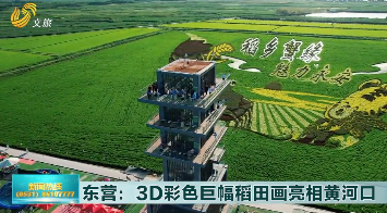 东营：3D彩色巨幅稻田画亮相黄河口 