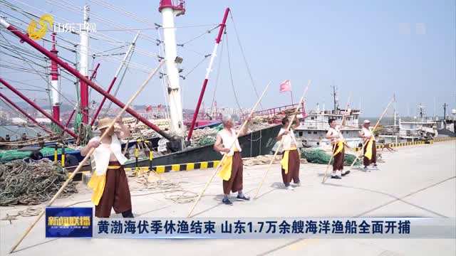黄渤海伏季休渔结束 山东1.7万余艘海洋渔船全面开捕