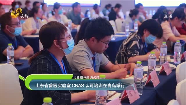【齐鲁畜牧】山东省兽医实验室CNAS认可培训在青岛举行