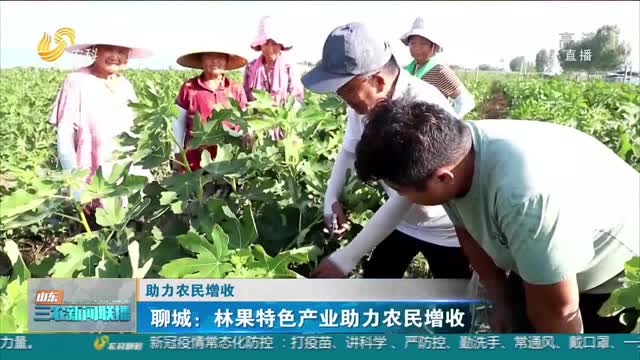 【助力农民增收】聊城：林果特色产业助力农民增收
