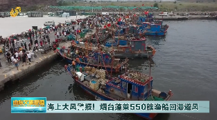 海上大风警报！烟台蓬莱等地550多艘渔船回港避风