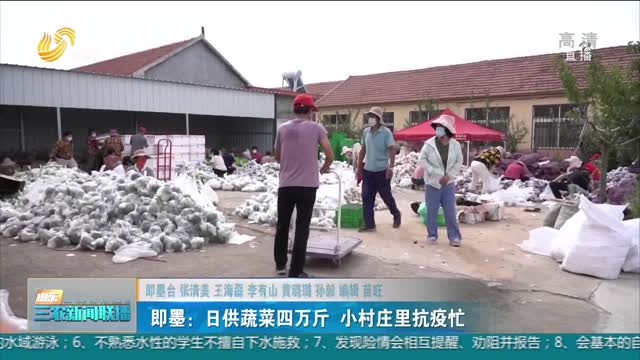 【众志成城 抗击疫情】即墨：日供蔬菜四万斤 小村庄里抗疫忙