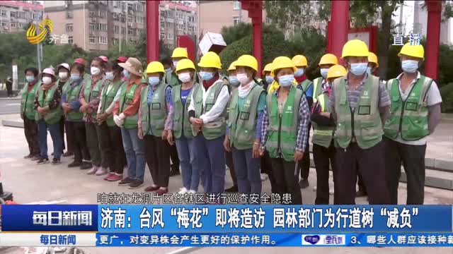 济南：台风“梅花”即将造访 园林部门为行道树“减负”
