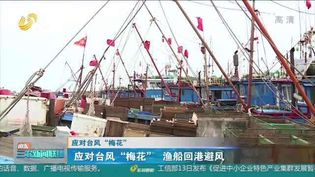 【应对台风“梅花”】应对台风“梅花” 渔船回港避风