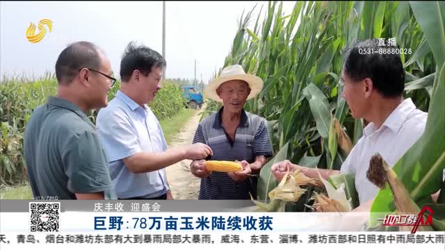 【庆丰收 迎盛会】巨野：78万亩玉米陆续收获