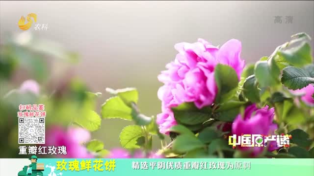 20220915《中國原產遞》：玫瑰鮮花餅
