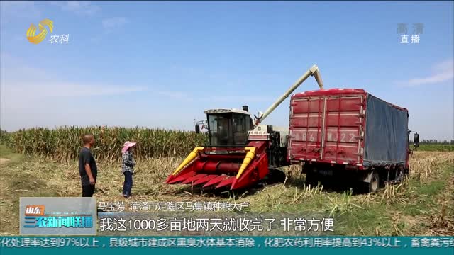 【“三秋”生产进行时】定陶：64万亩玉米陆续开机收割