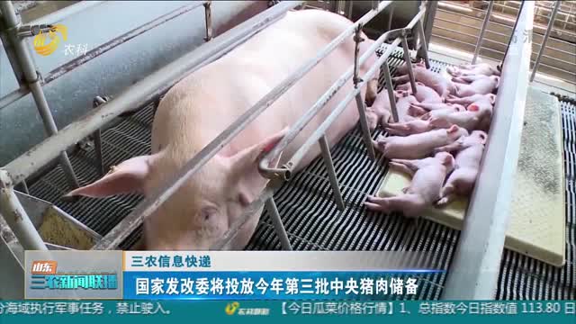 【三農信息快遞】國家發改委將投放今年第三批中央豬肉儲備