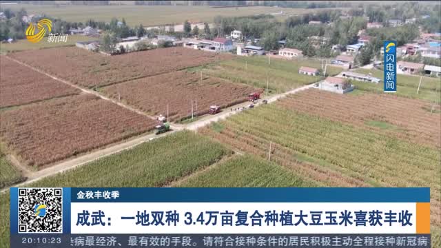 【金秋丰收季】成武：一地双种 3.4万亩复合种植大豆玉米喜获丰收