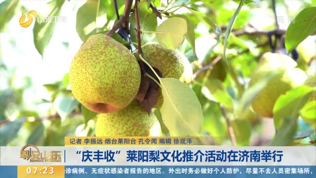 “慶豐收”萊陽梨文化推介活動在濟南舉行