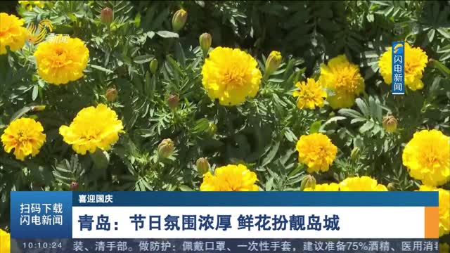 【喜迎国庆】青岛： 节日氛围浓厚 鲜花扮靓岛城