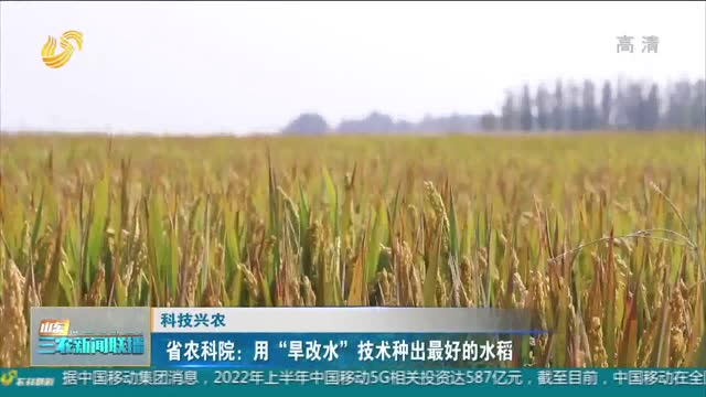 【科技兴农】省农科院：用“旱改水”技术种出最好的水稻