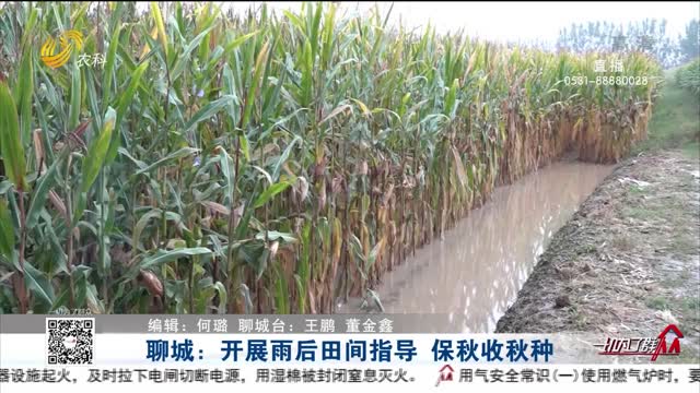 聊城：开展雨后田间指导 保秋收秋种