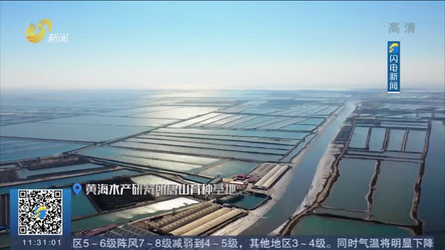 【领航中国·向江河湖海要食物】中国的比目鱼“长”大了