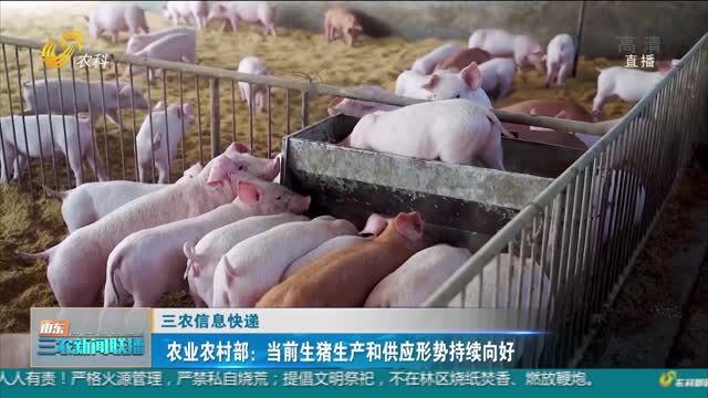 【三农信息快递】农业农村部：当前生猪生产和供应形势持续向好