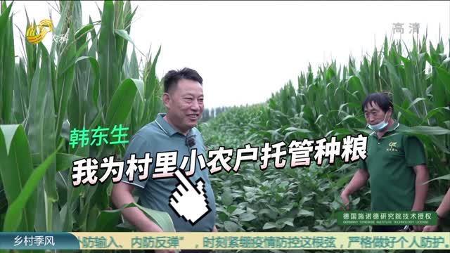 【乡村产业振兴“领头雁”】韩东生：我为村里小农户托管种粮