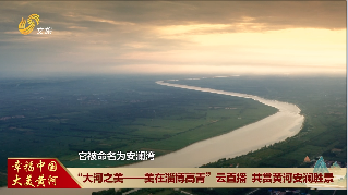 “大河之美——美在淄博高青”云直播  共赏黄河安澜胜景 领略大河之美 