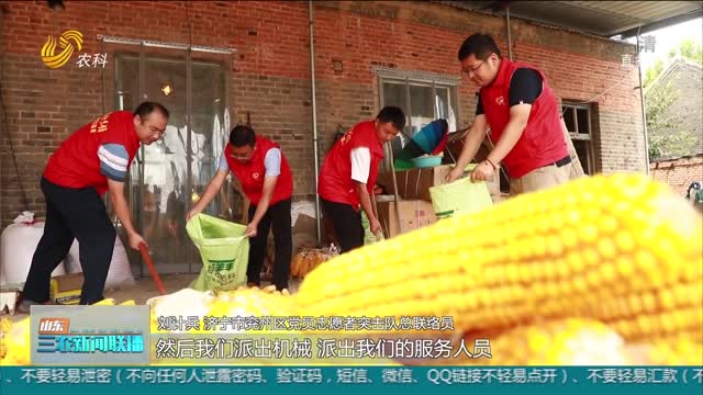 【“三秋”生产进行时】兖州30万亩玉米丰收 党员一线助力“三秋”生产