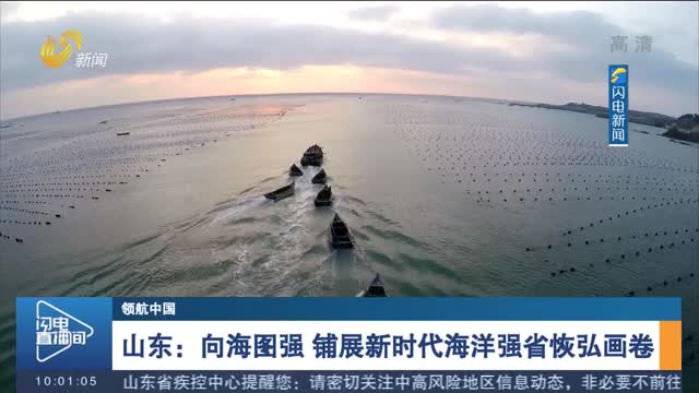 【领航中国】山东：向海图强 铺展新时代海洋强省恢弘画卷