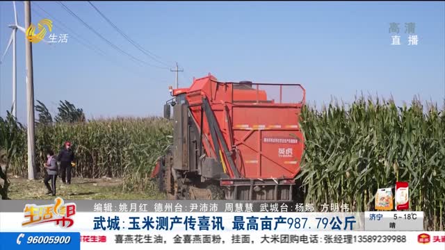 武城：玉米测产传喜讯 最高亩产987.79公斤