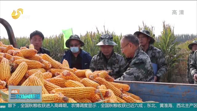【“三秋”生产进行时】大豆亩产134.23公斤！禹城成功打造黄淮海大豆玉米带状复种样板