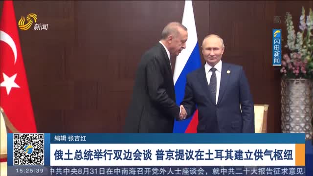 俄土总统举行双边会谈 普京提议在土耳其建立供气枢纽