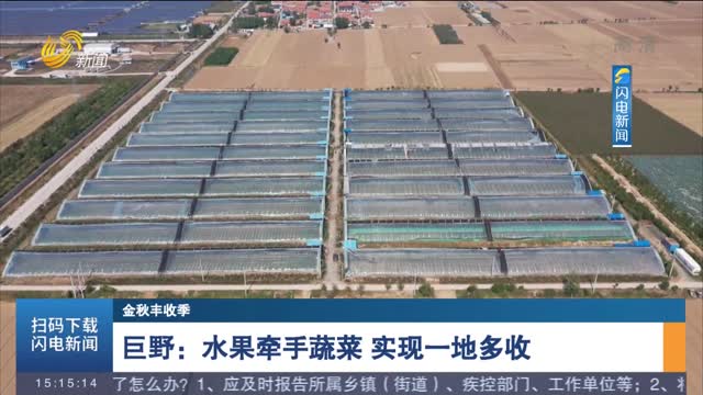 【金秋丰收季】巨野：水果牵手蔬菜 实现一地多收