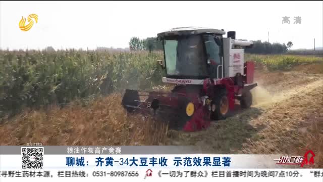 【粮油作物高产竞赛】聊城：齐黄-34大豆丰收 示范效果显著