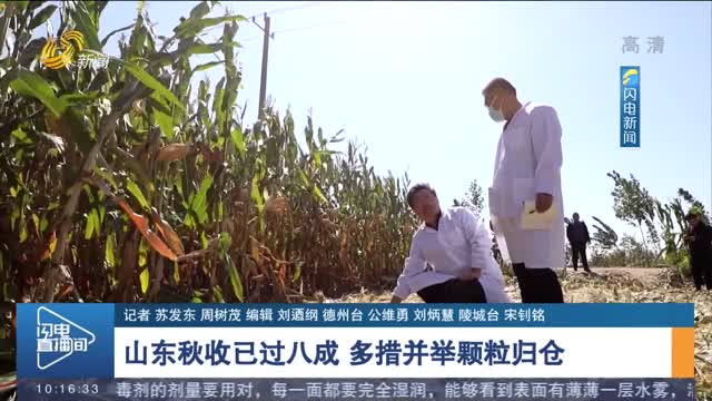 山东秋收已过八成 多措并举颗粒归仓