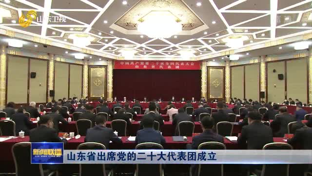 山东省出席党的二十大代表团成立
