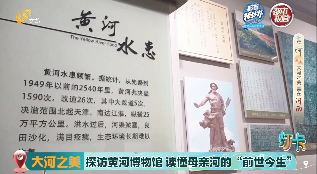 【大河之美】探访黄河博物馆 读懂母亲河的“前世今生”