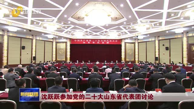 沈跃跃参加党的二十大山东省代表团讨论