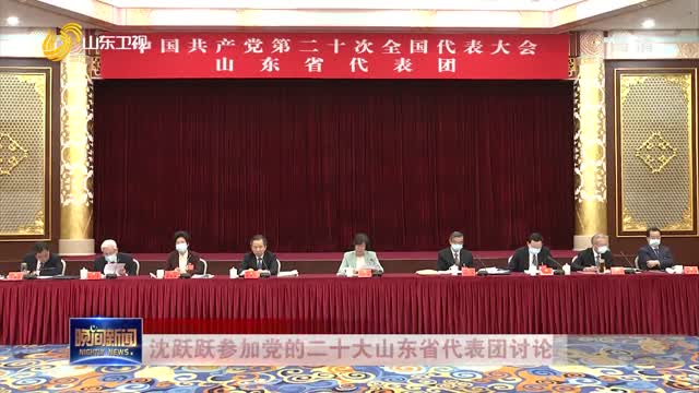 沈跃跃参加党的二十大山东省代表团讨论