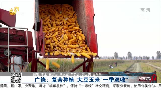 广饶：复合种植 大豆玉米“一季双收”