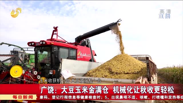 广饶：大豆玉米金满仓 机械化让秋收更轻松