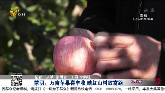 蒙阴：万亩苹果喜丰收 映红山村致富路