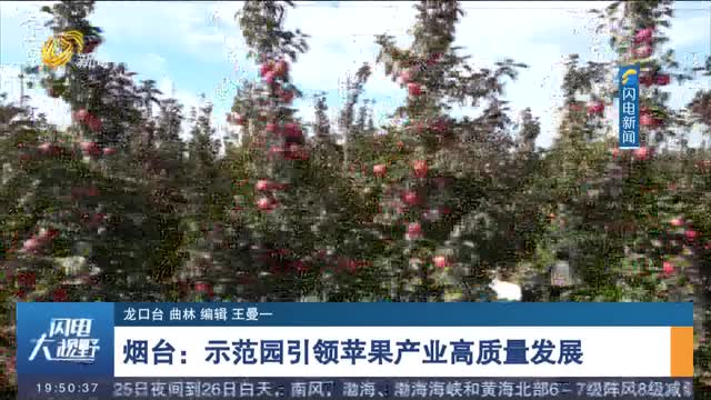 【金秋丰收季】烟台：示范园引领苹果产业高质量发展